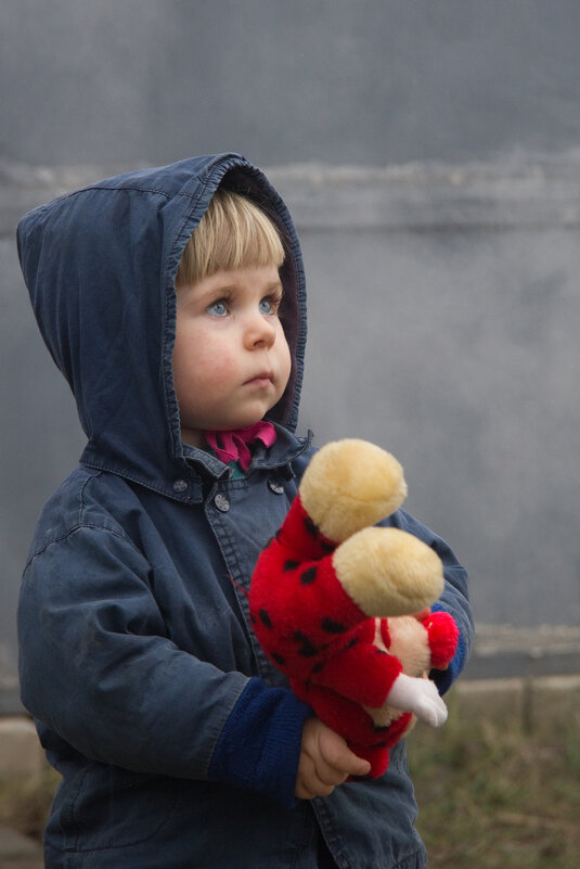 Поля. - Сергей Рожков