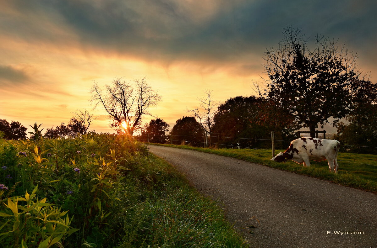 sunset - Elena Wymann