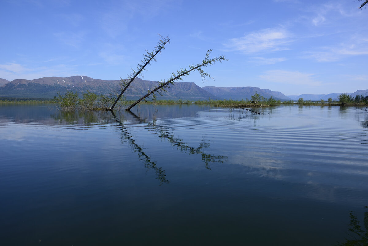 **** - Александр Хаецкий **** - Александр Хаецкий