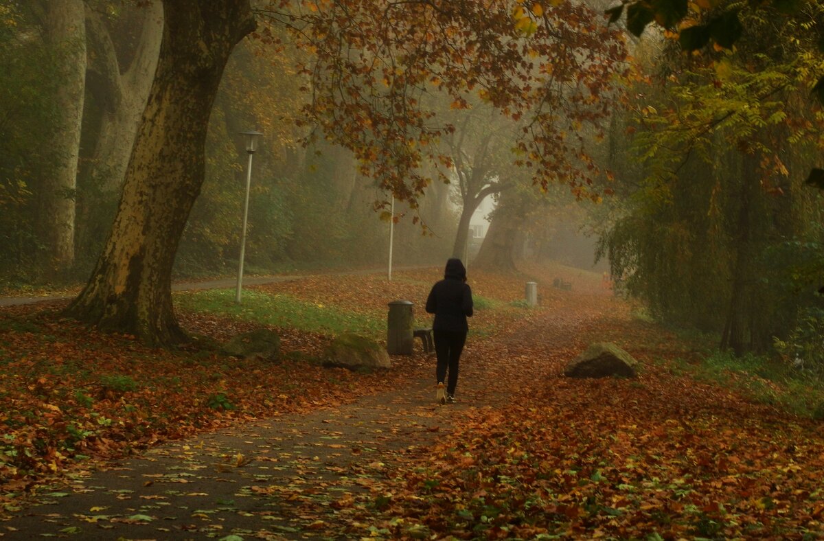 Утреняя пробежка - Юрий. Шмаков