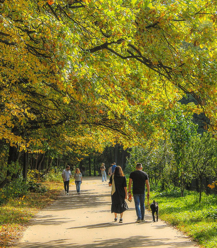Ботанический сад. Теплая осень в Останкино - Александр Лебедевъ