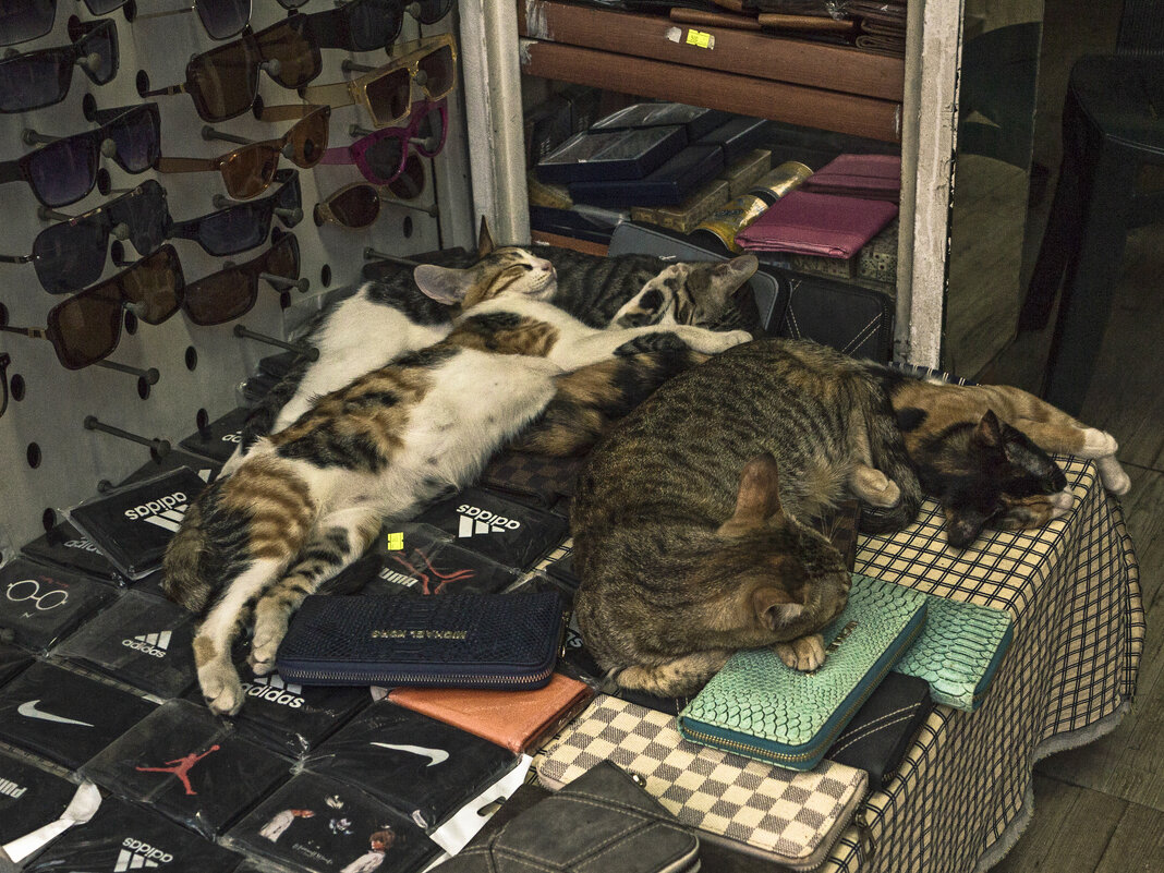 Тихий час. - Сергей Фомичев