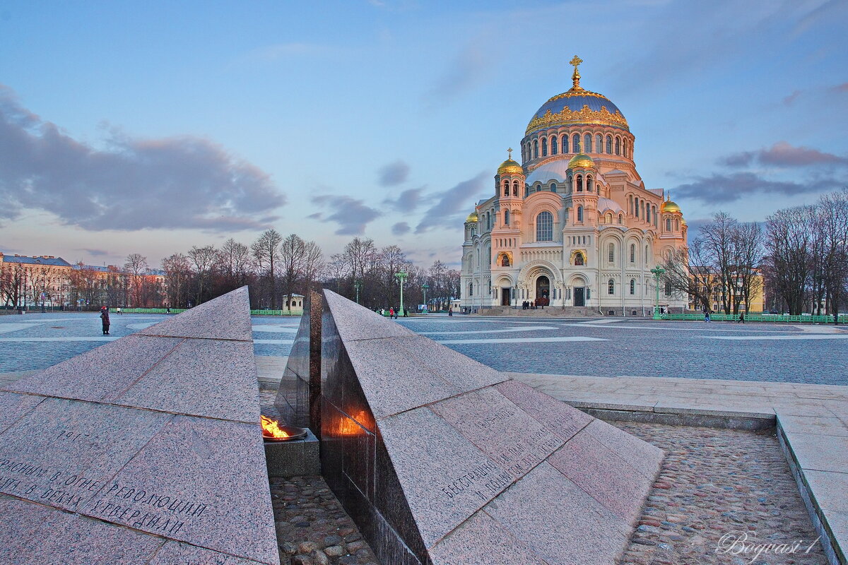 Огонь революции - Василий Богданов