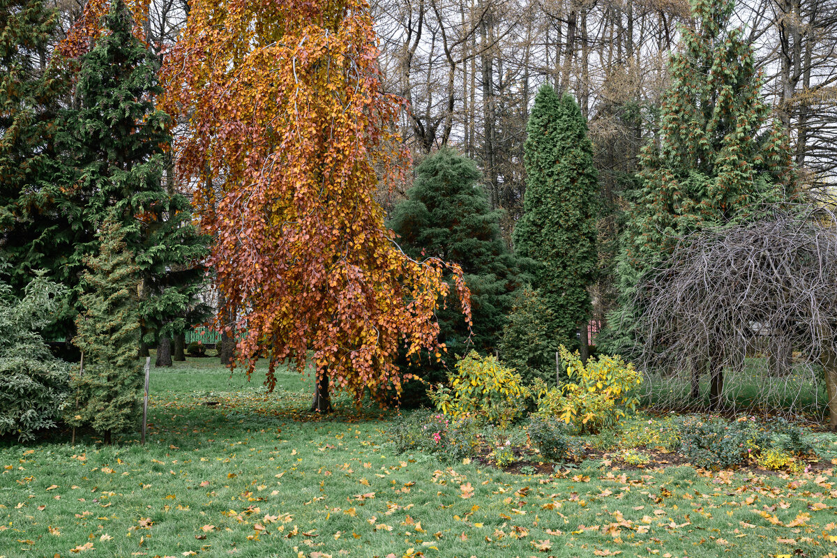 Одна - Валерий Пославский