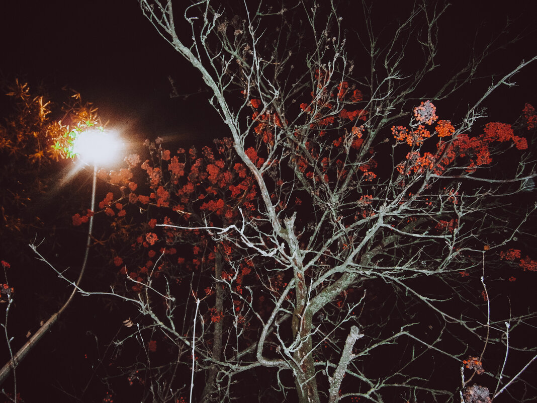 Доброе утро! - Sergei Vikulov