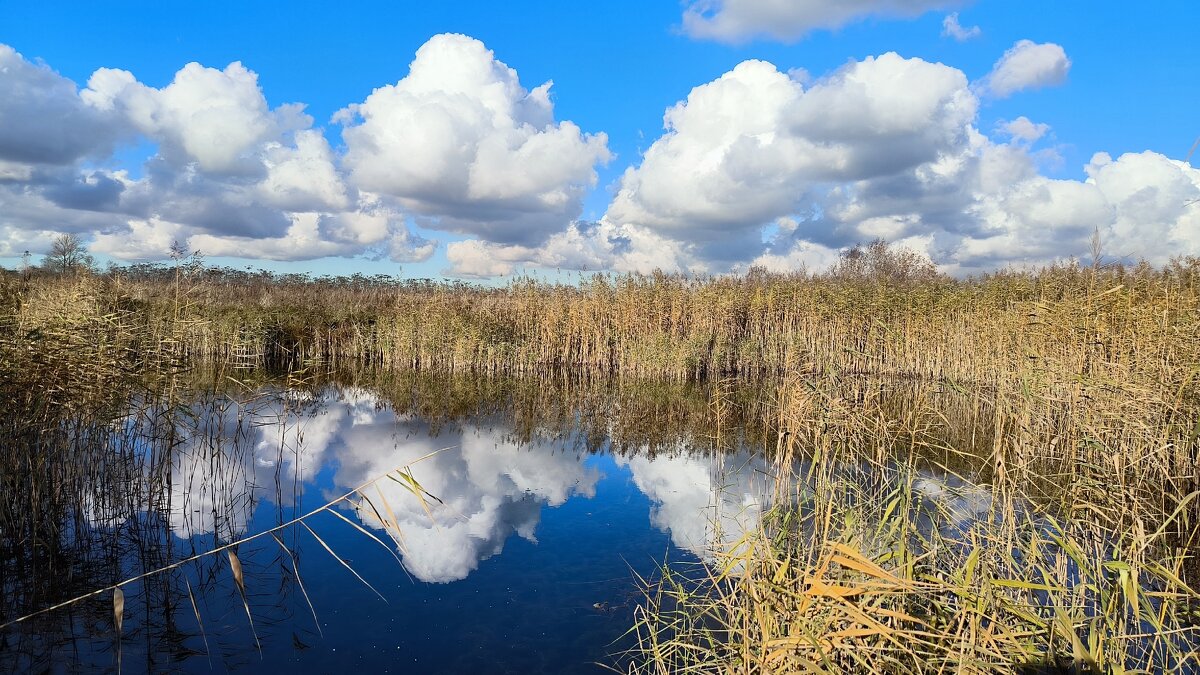 Облака в реке. - Ольга 