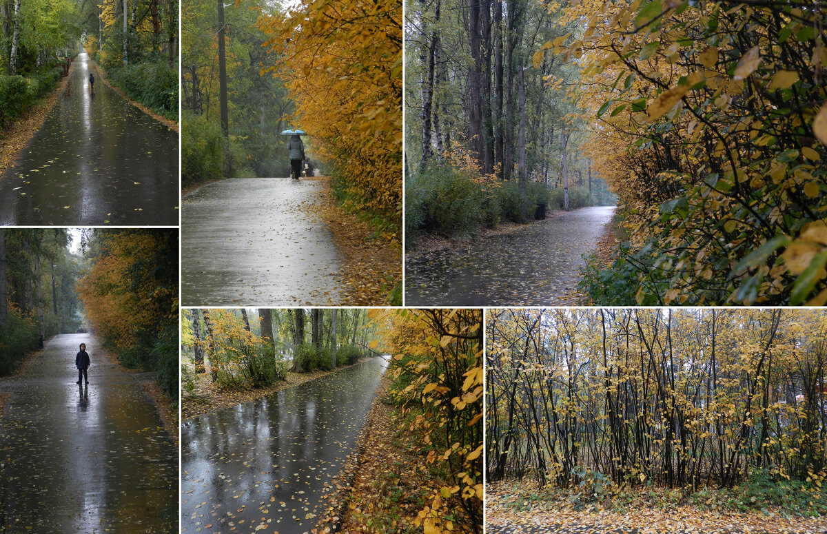 осенний дождик - Лера 