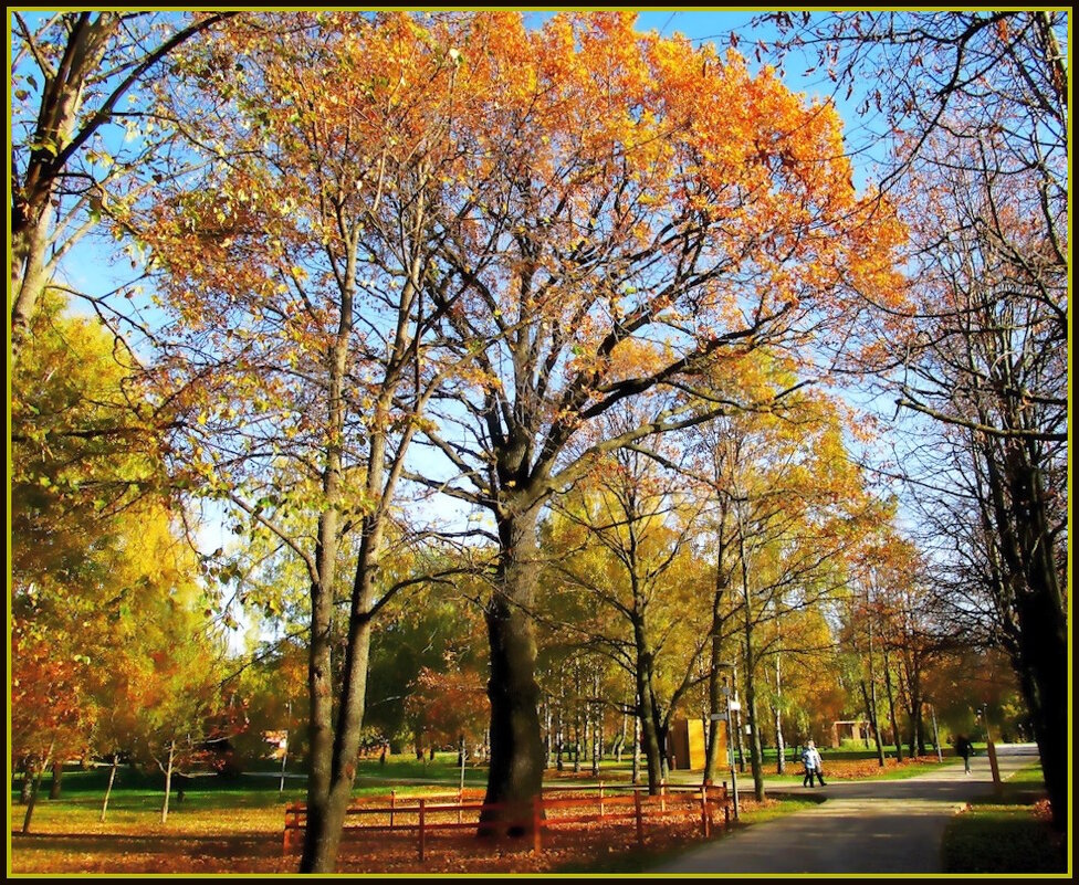 Золотая осень - Ольга Довженко