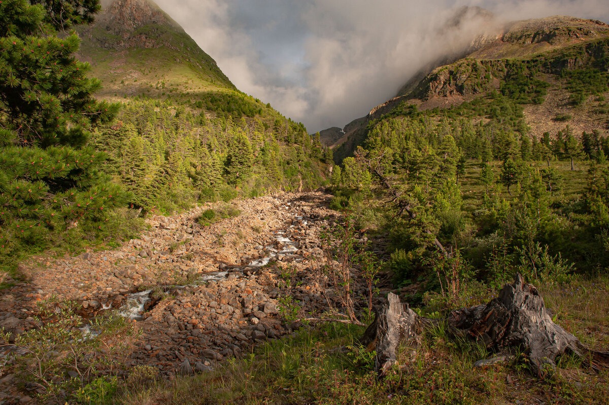 Горный ручей - Сергей Герасимов