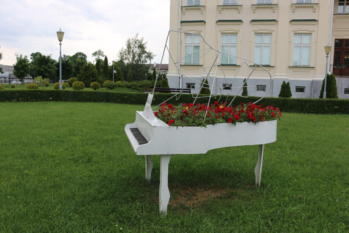 Рояль в кустах - Ольга 