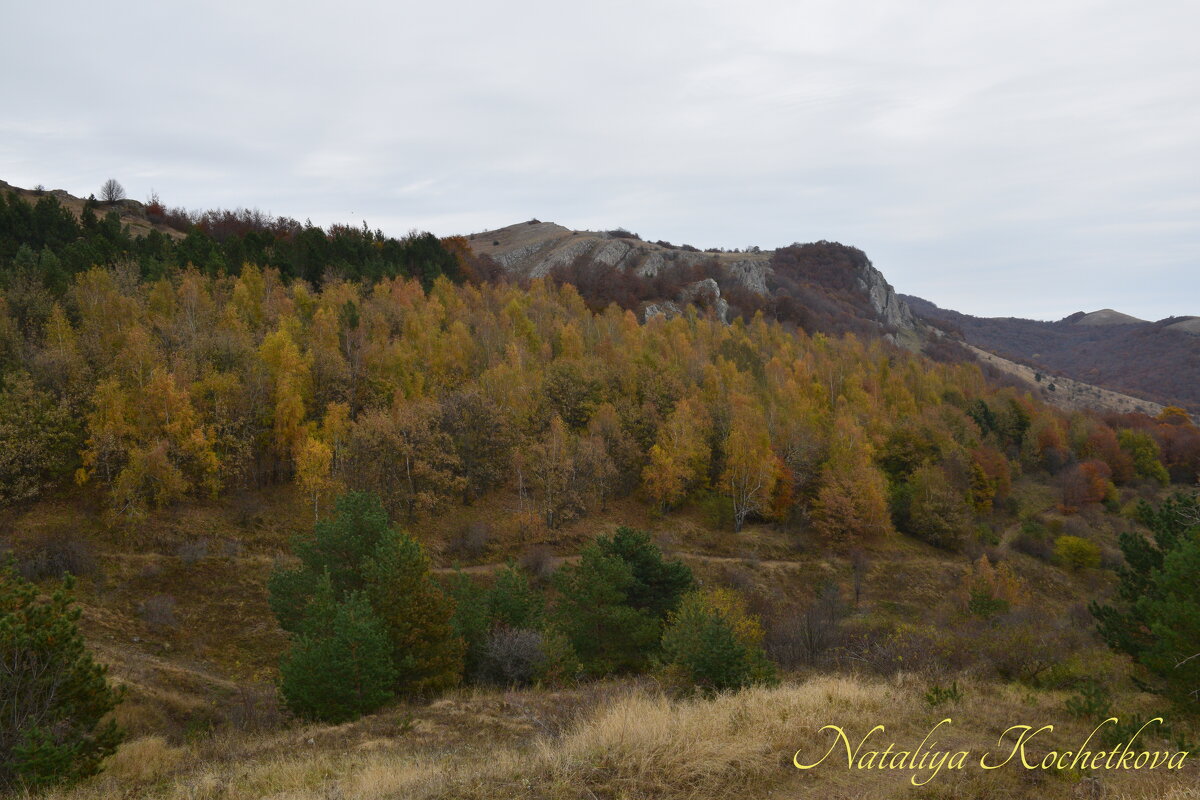 Природа Крыма - Amazing Cosmea