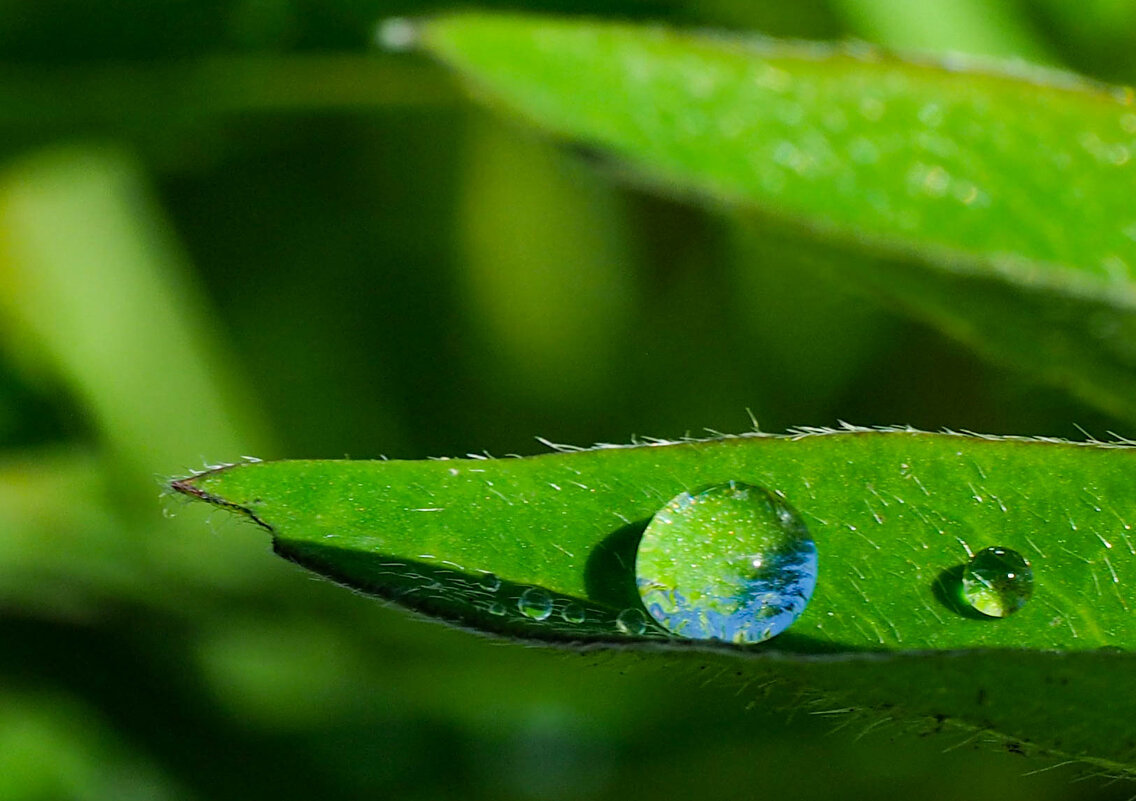 Капельки дождя - Олег Фролов Капельки дождя - Олег Фролов