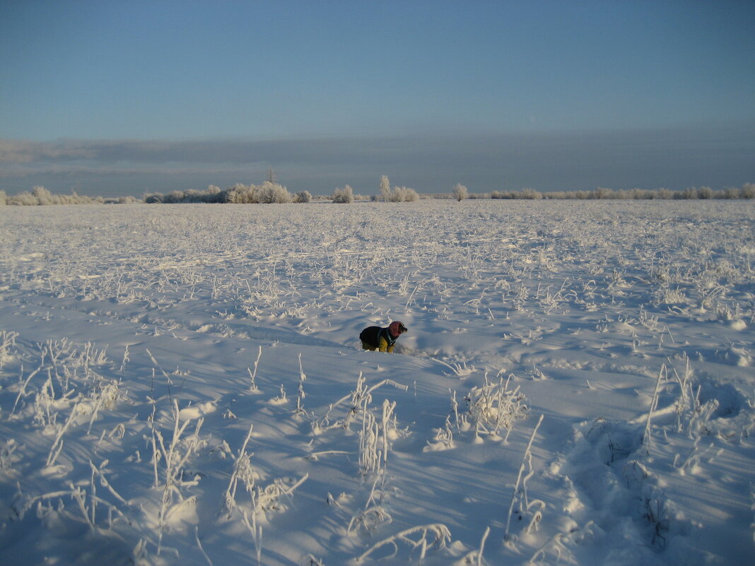Зимние прогулки - Anna Ivanova