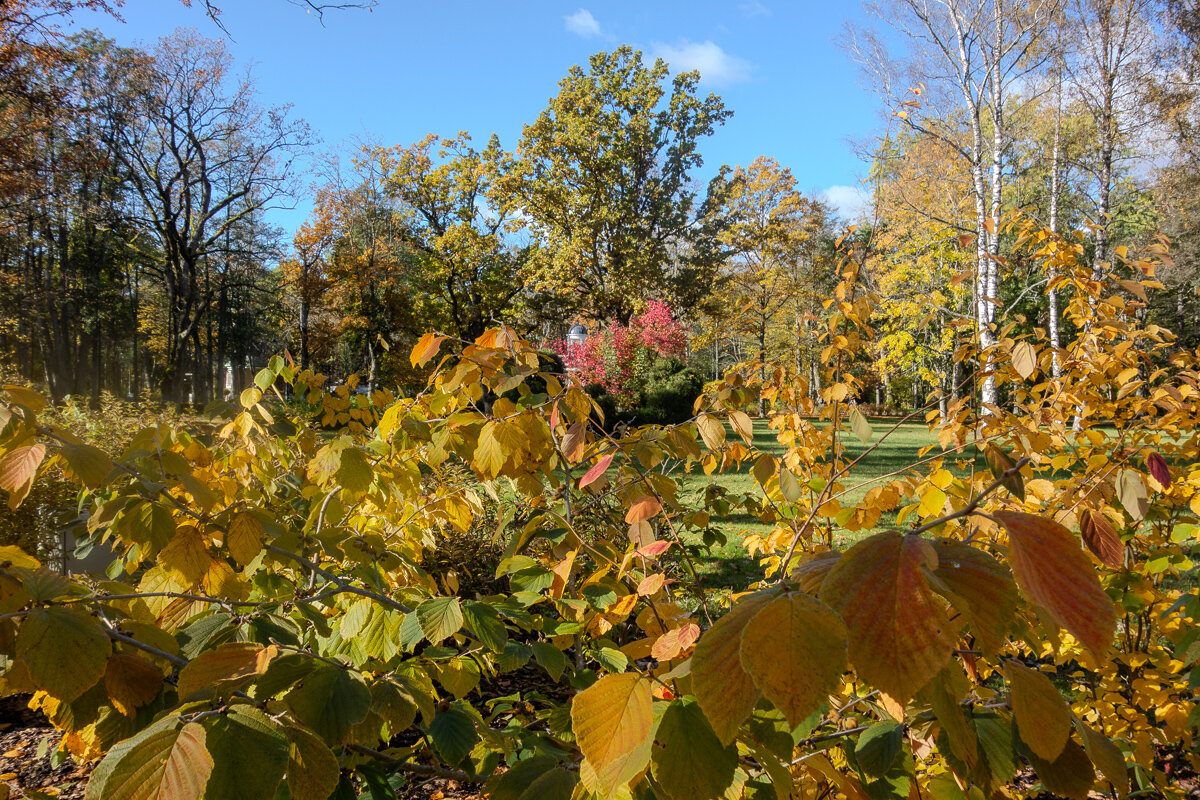 *** - Геннадий Порохов