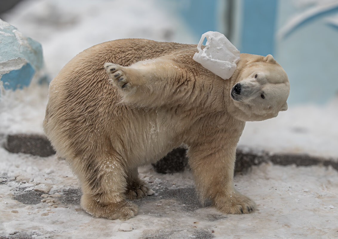 Кай - Михаил Измайлов