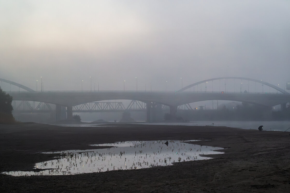 *** - Игорь Протасов