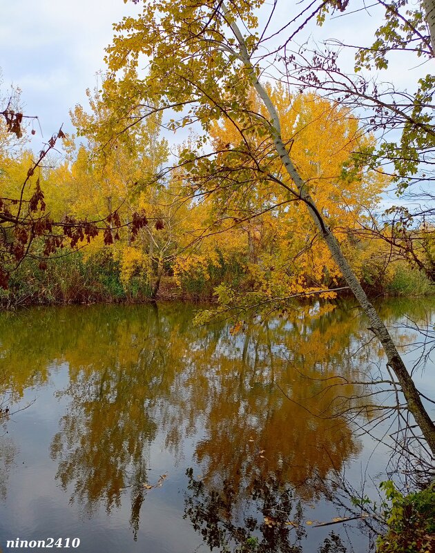 В ростовском экопарке Первая миля - Нина Бутко