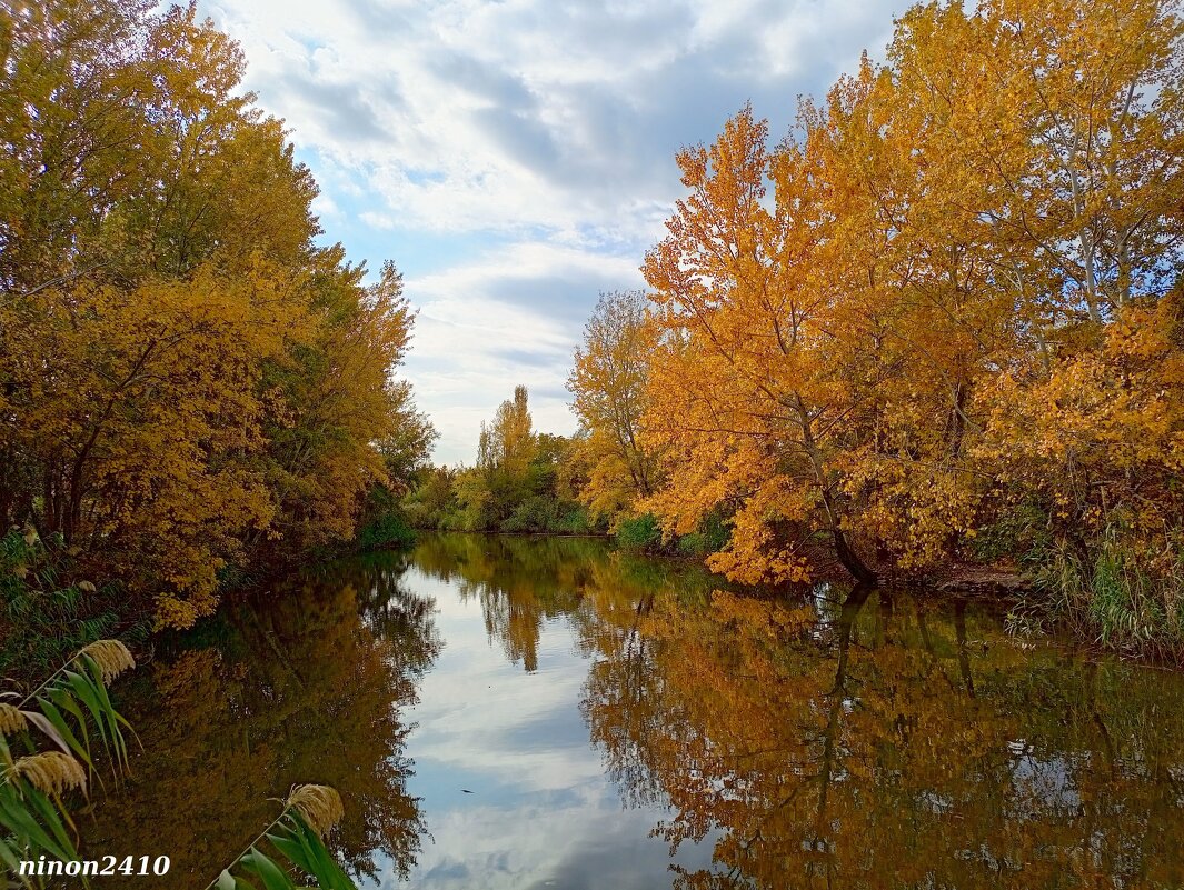 В ростовском экопарке Первая миля - Нина Бутко