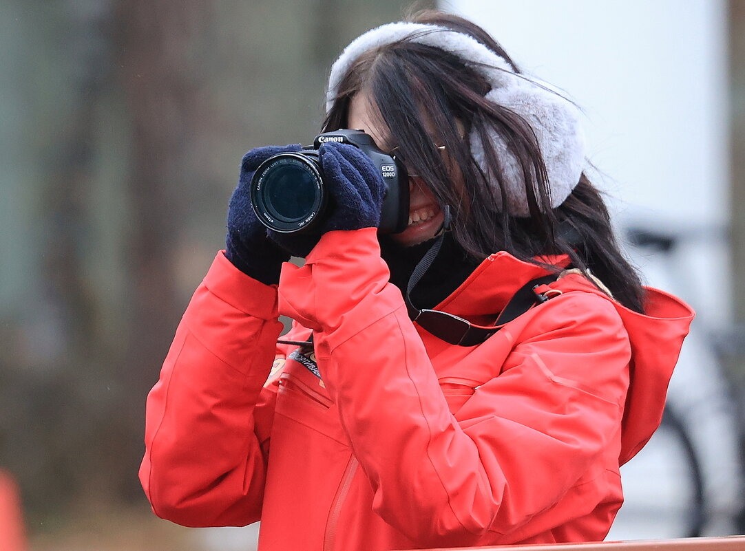 **** - Владилен Панченко