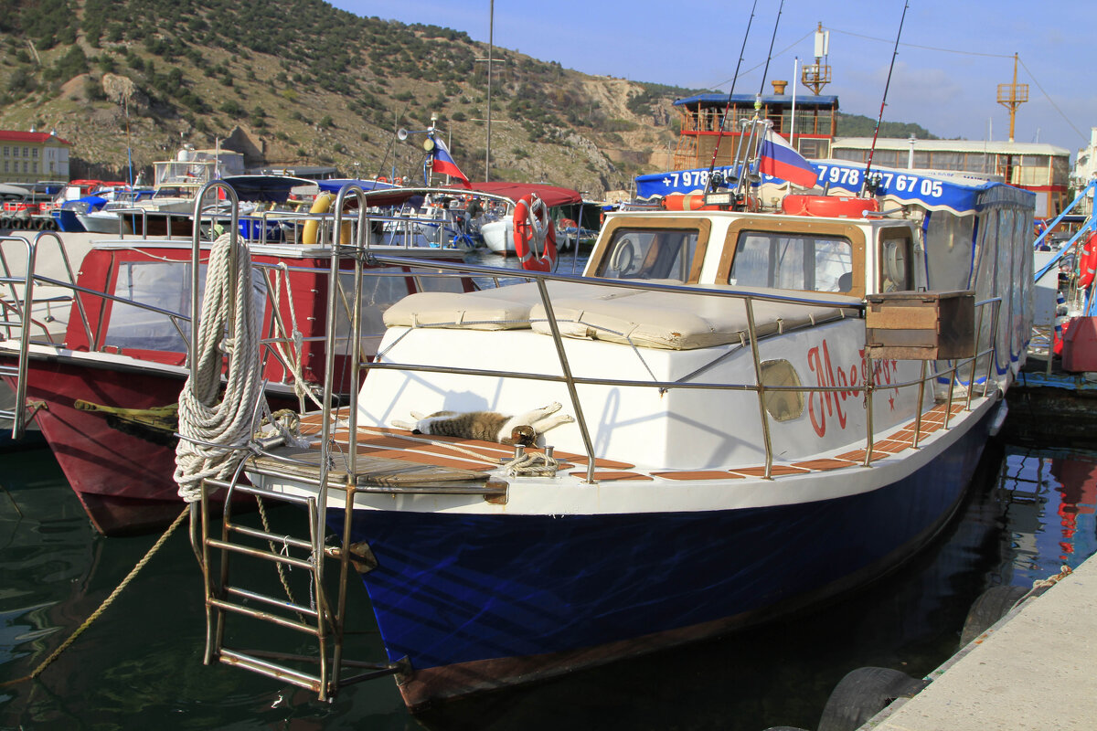 Кот Матроскин - Геннадий Валеев Кот Матроскин - Геннадий Валеев