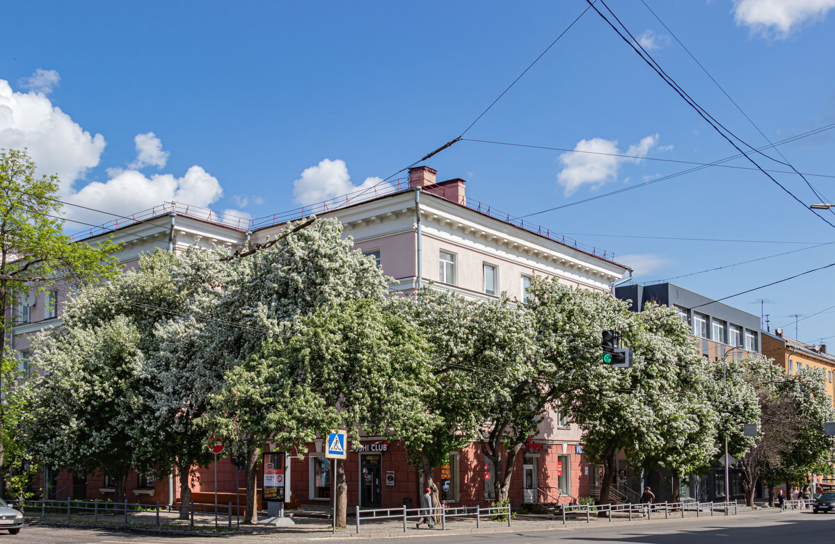 яблони в цвету - navalon M