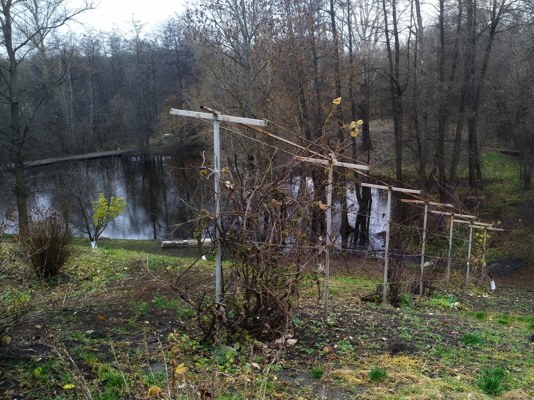 Осень... - Игорь Шевердин