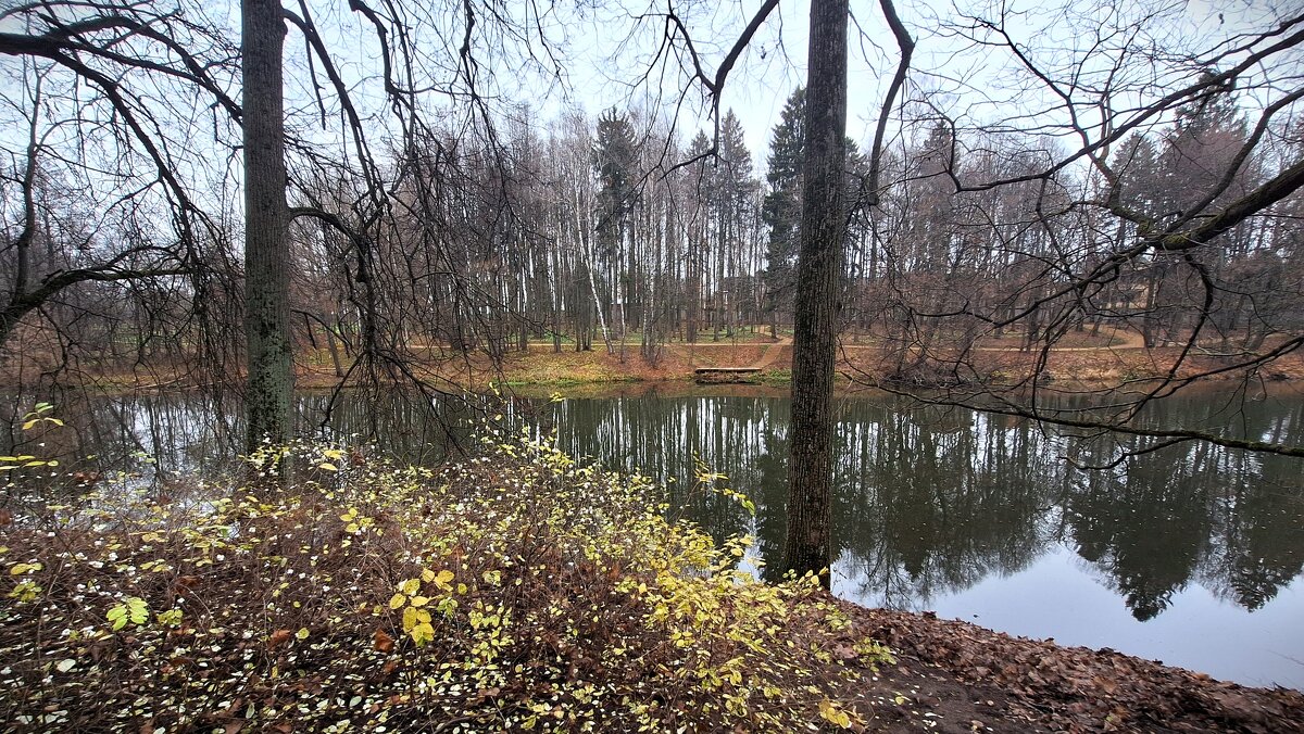Грустный ноябрьский пейзаж - Наталья 