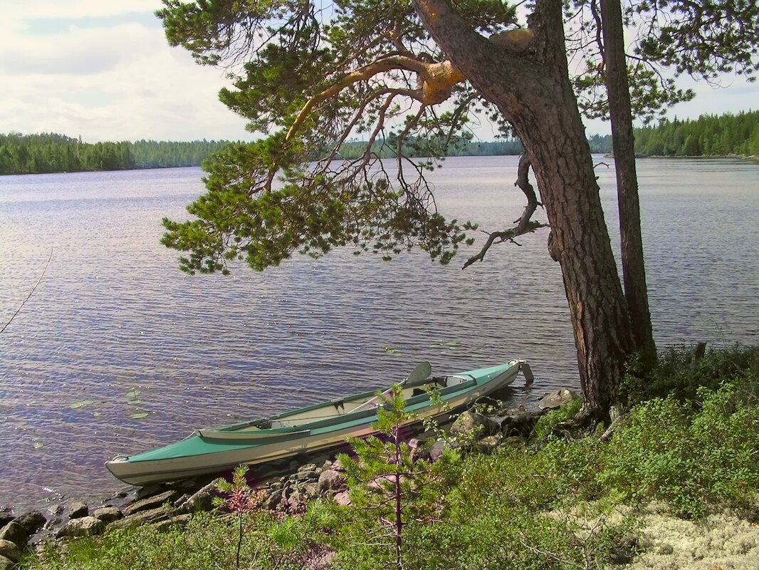 Моя ласточка - Andy 