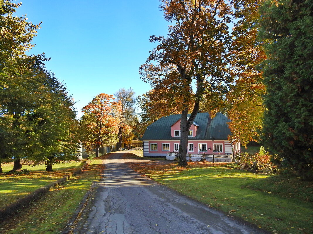 наша осень - ИННА ПОРОХОВА