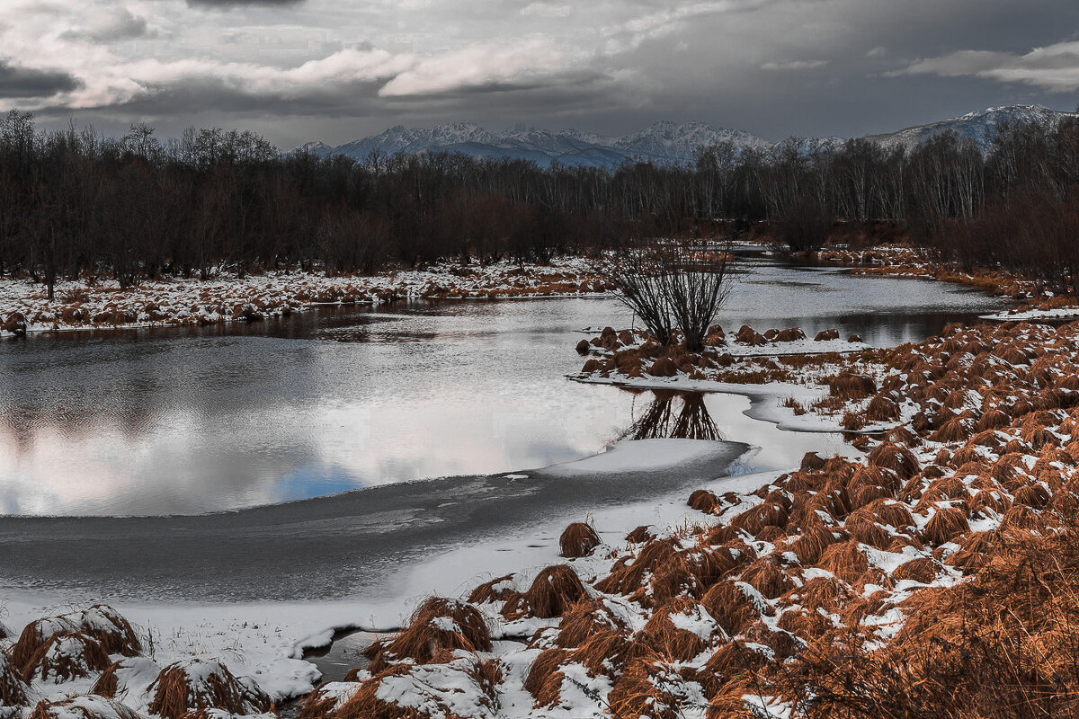 ... - Жора Житников