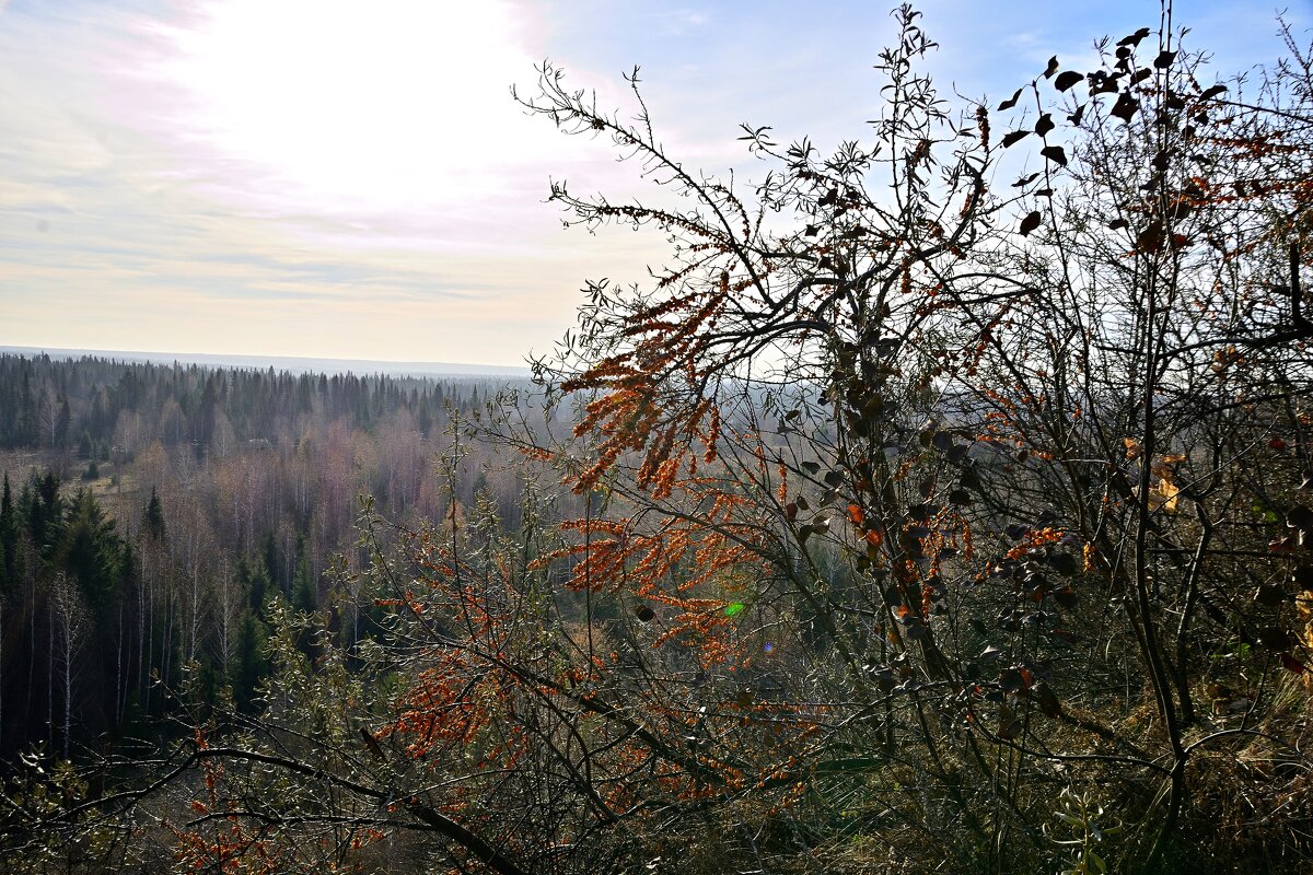 - - Владимир Мигонькин