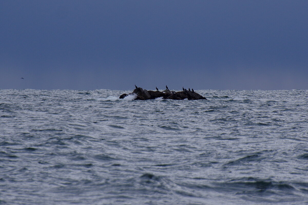 На камнях - Сергей Швечков