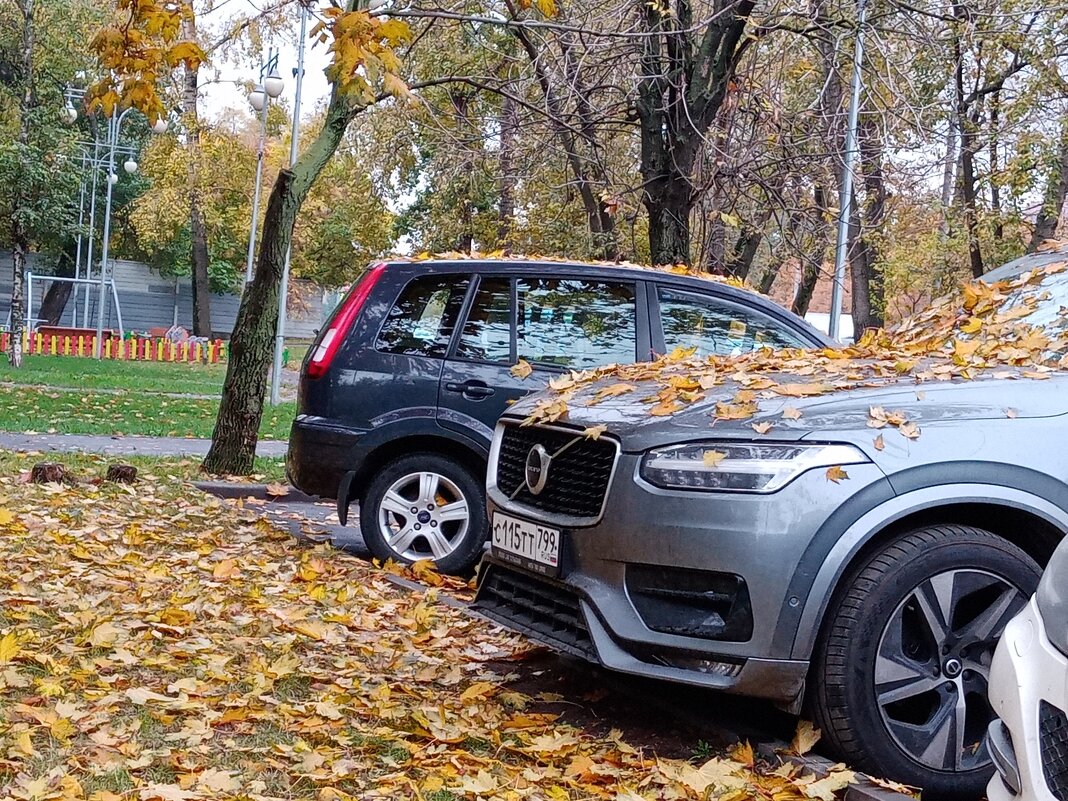 Осень. - Владимир Драгунский