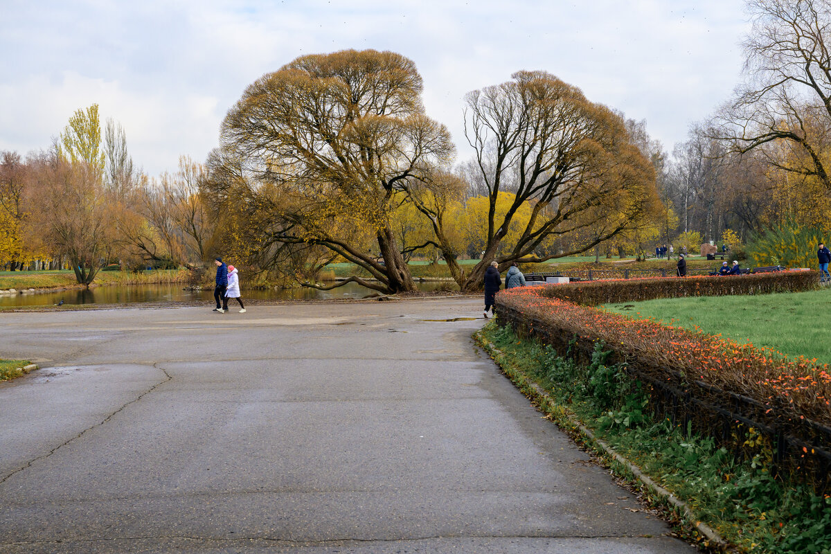 Ботанический - Валерий Пославский