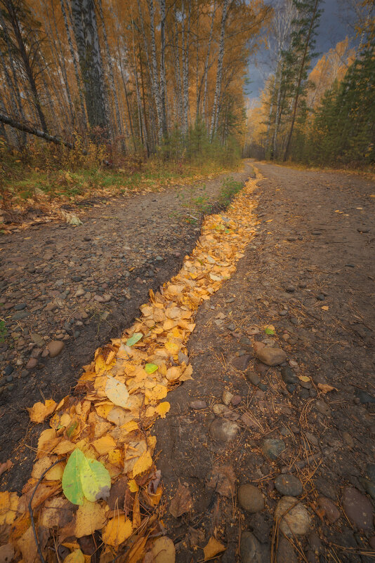 * - Александр Иванов