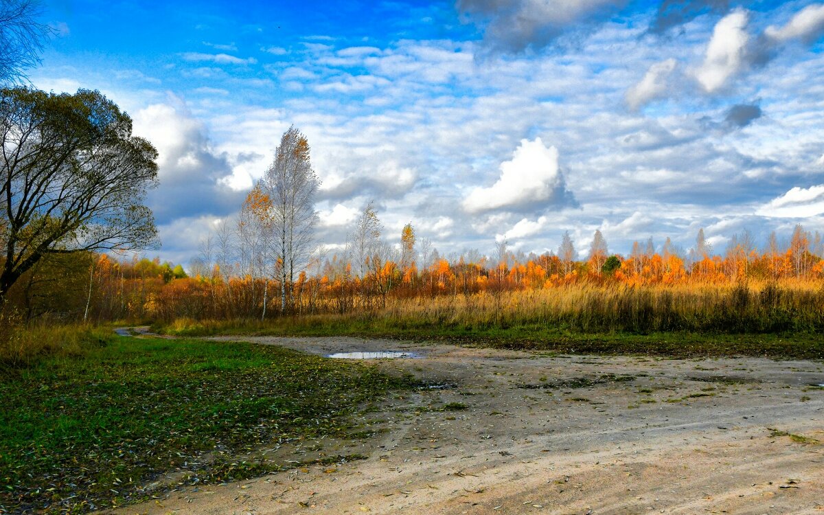 Осень в октябре. - Милешкин Владимир Алексеевич 