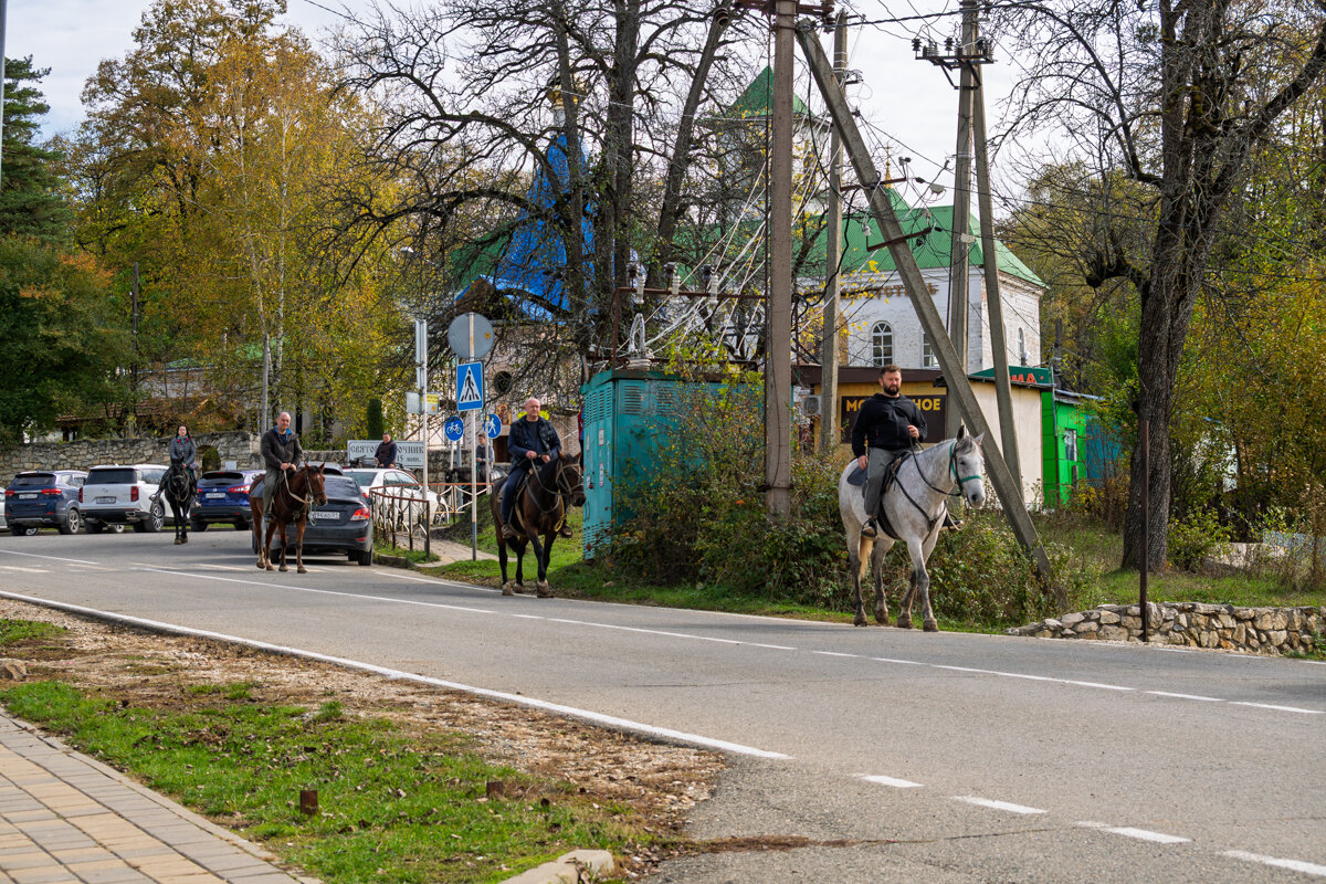 Конные прогулки - Игорь Сикорский