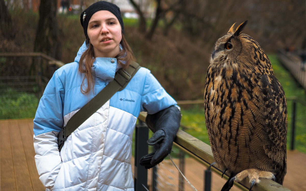 Прогулки в Осеннем Парке - юрий поляков Прогулки в Осеннем Парке - юрий поляков