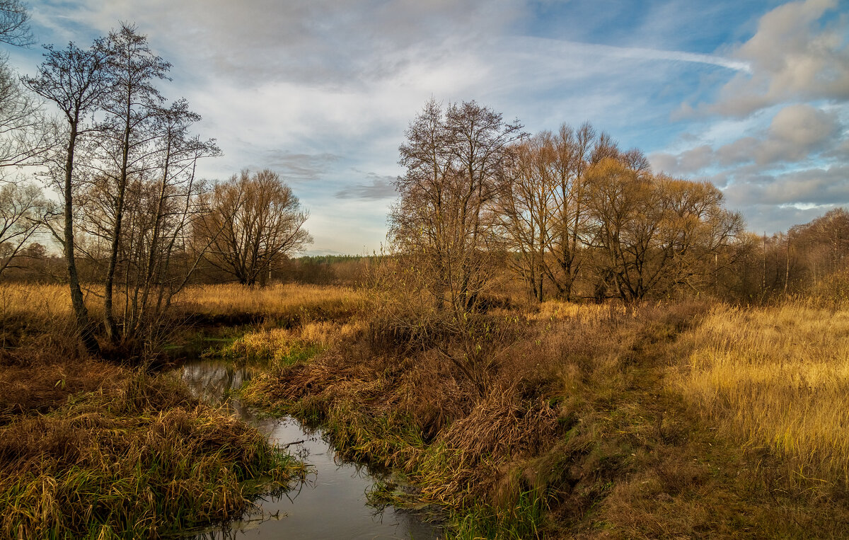 Осень не сдаётся 12 - Андрей Дворников