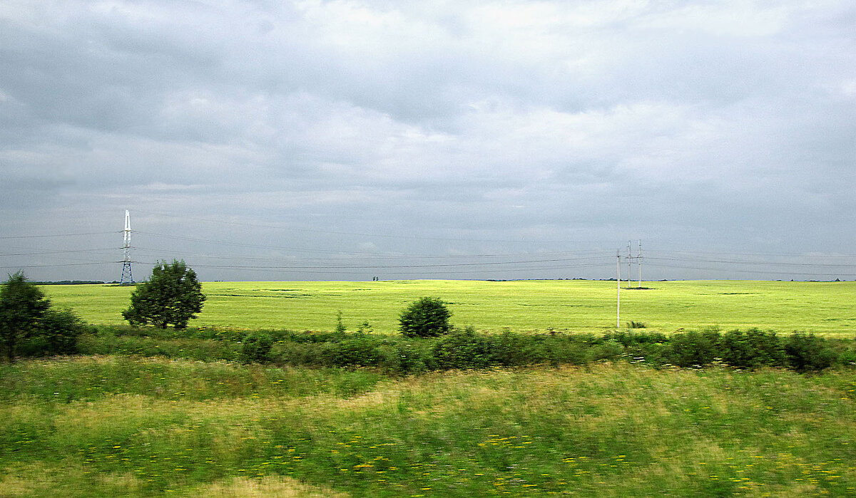 Поле вблизи села Марьинское - Александр Ильчевский 