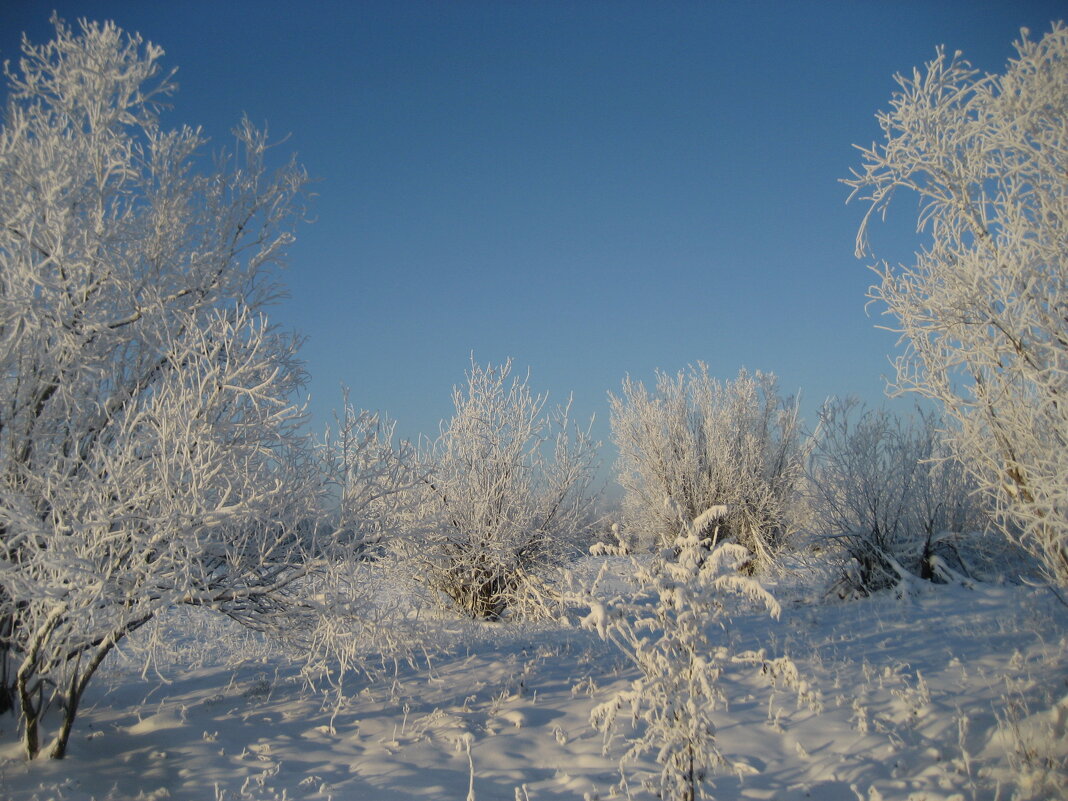 Солнечный день - Anna Ivanova Солнечный день - Anna Ivanova