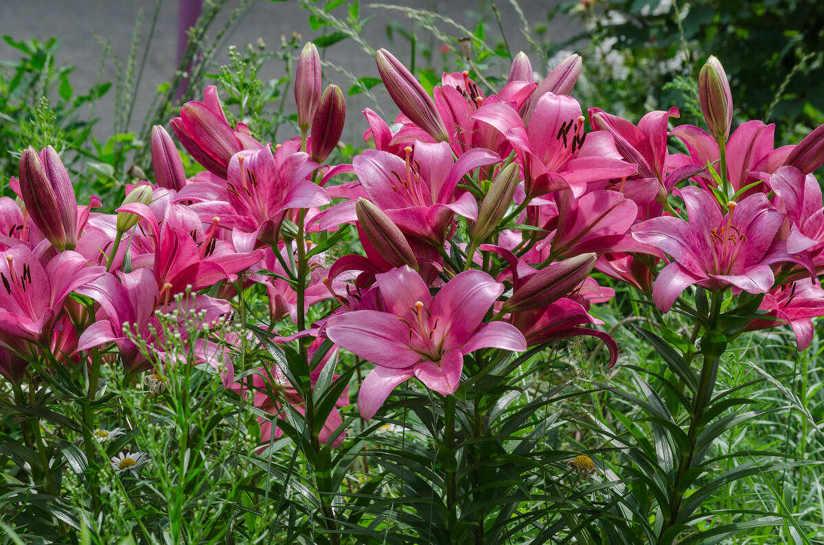 *** - Виктор Иванович Чернюк