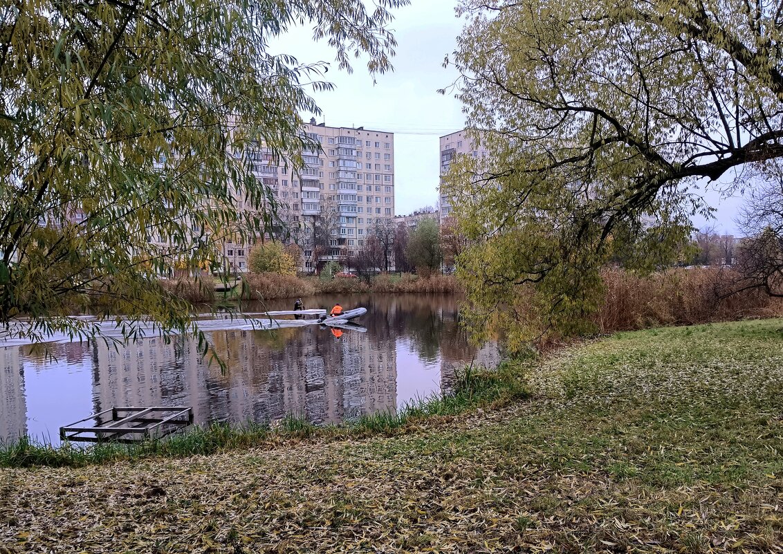 Есть только миг, успей словить... - Мария Васильева Есть только миг, успей словить... - Мария Васильева