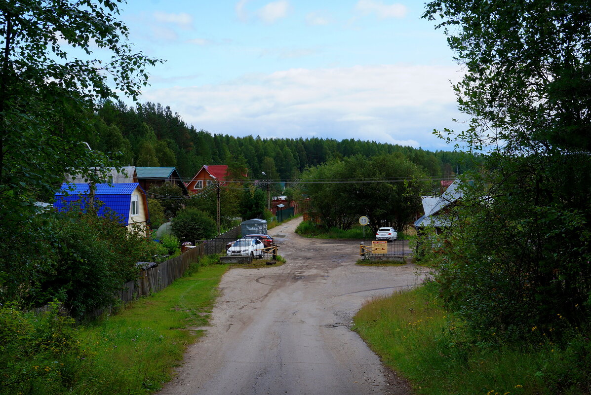 Времена года . Лето . - Нэлли Обертынская Времена года . Лето . - Нэлли Обертынская