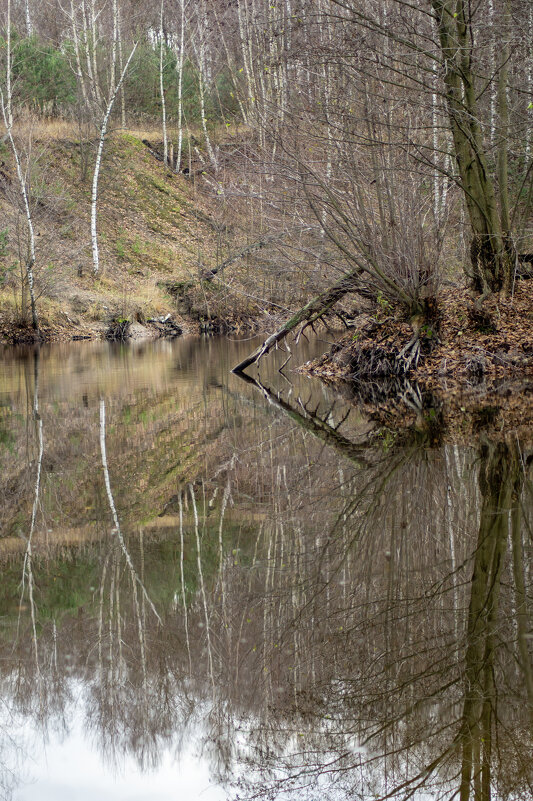 Узорчатость - sorovey Sol Узорчатость - sorovey Sol