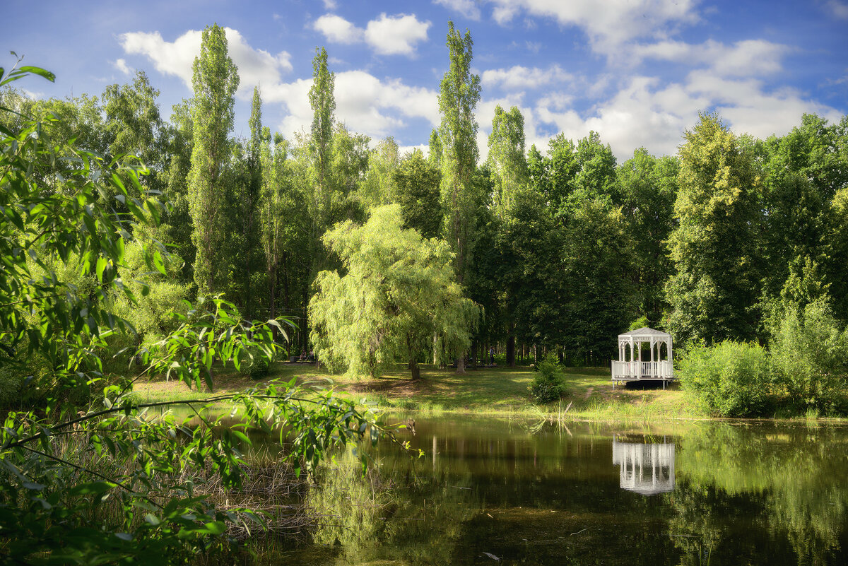 Есть в нашем парке чудный пруд... - Валерий VRN