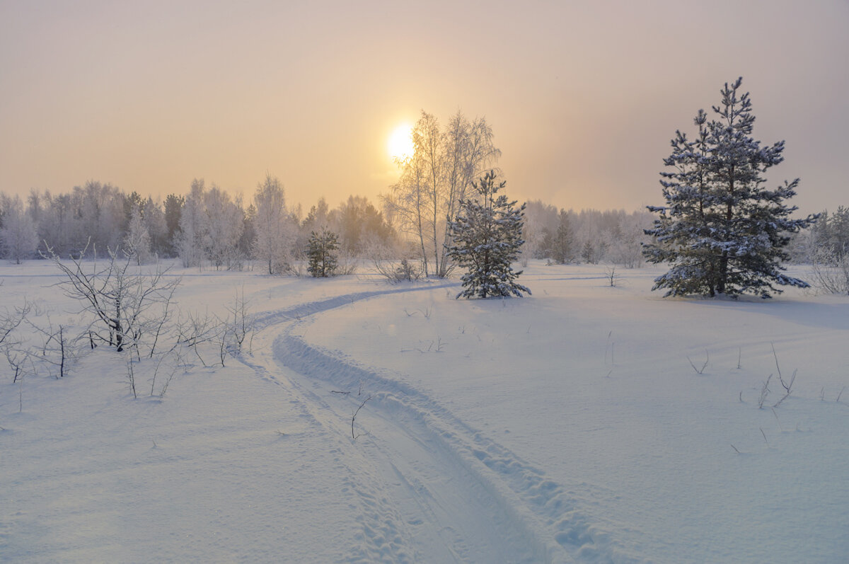 Морозно. - Александр Иванович Шитов