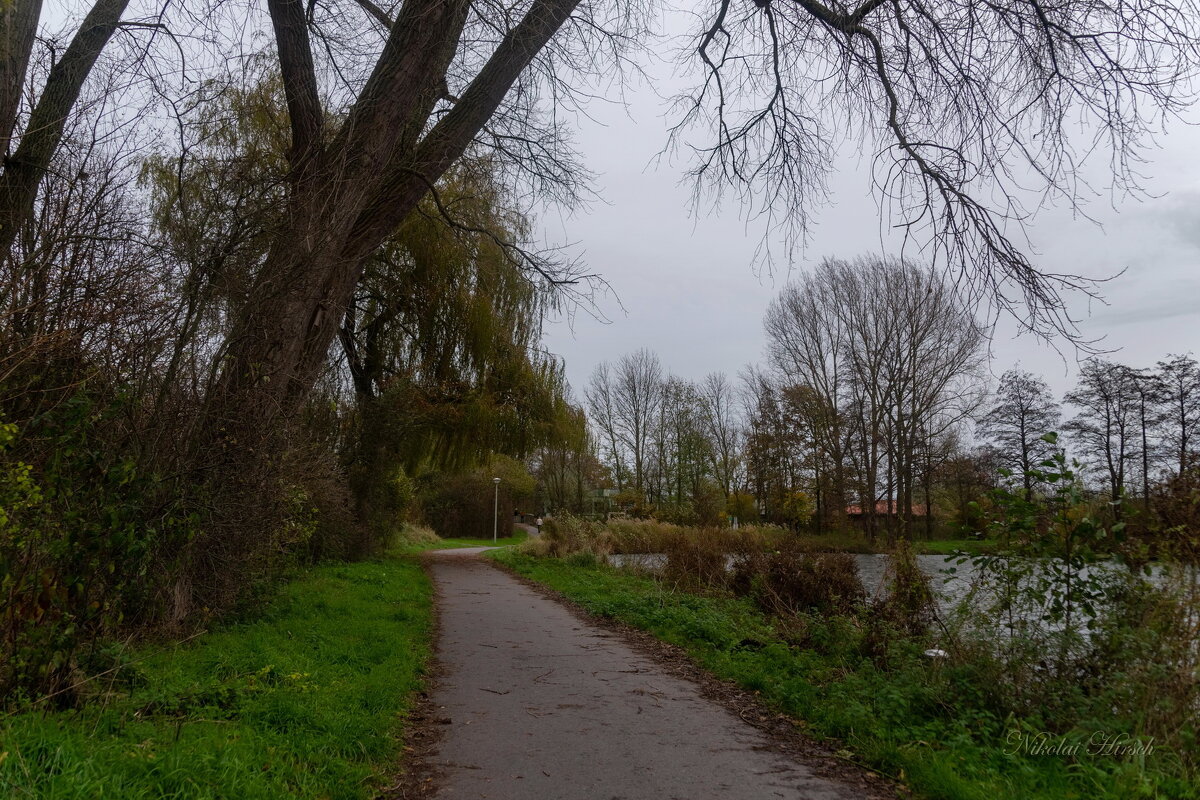 *** - Николай Гирш *** - Николай Гирш