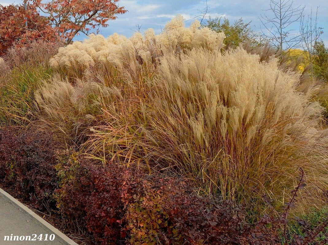 В ростовском экопарке Первая миля - Нина Бутко В ростовском экопарке Первая миля - Нина Бутко