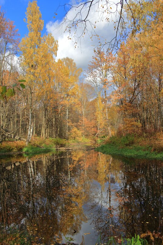 Осень - Александр Алексеенко